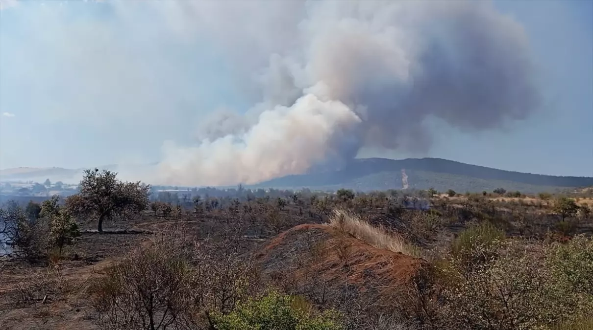 geliboluda tarim arazisinde yangin QMbkMqUw