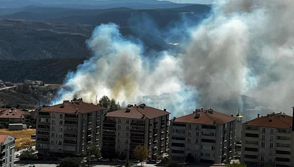 salca icin bileciki yakti dQEnApDt