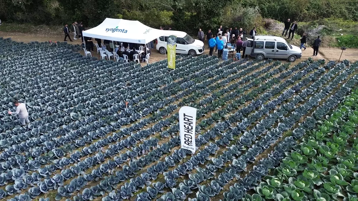 bafrada tarla gunu etkinligi epifQvP6.jpg