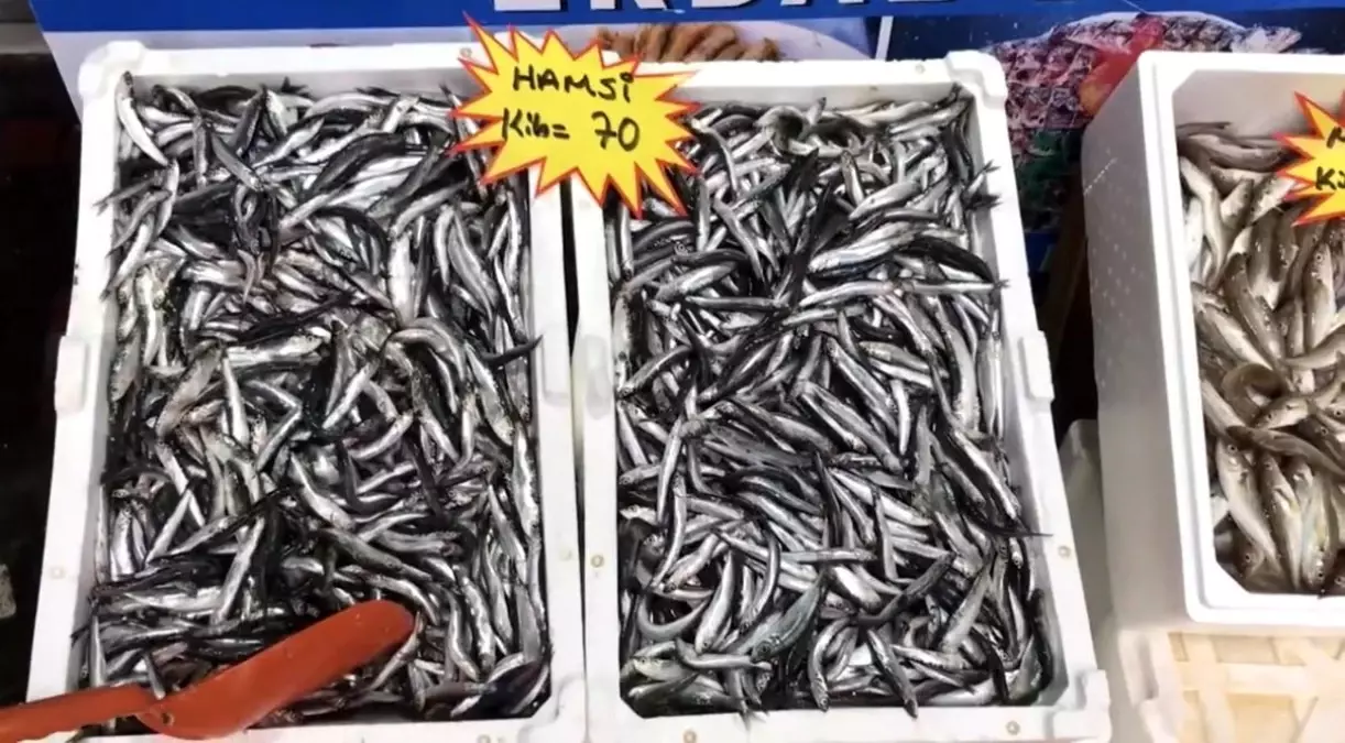 taze balik tuketin uyarisi qtRDAh2O.jpg