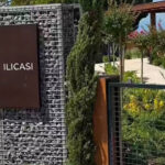 Akpli baskan sozunu cignedi koylu kendi ilicasina 950 tlye girebiliyor KLuij9vw